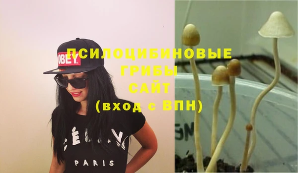 apvp Белоозёрский