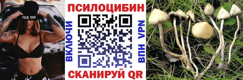 Галлюциногенные грибы прущие грибы магазин продажи Бутурлиновка