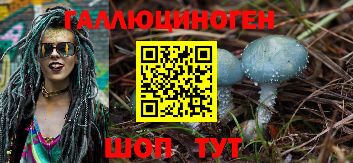 Псилоцибиновые грибы Psilocybine cubensis Бутурлиновка