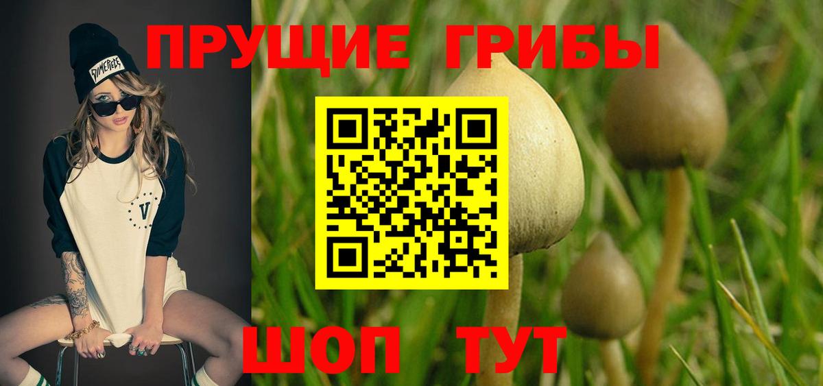 Псилоцибиновые грибы MAGIC MUSHROOMS  Вход с VPN  Бутурлиновка 